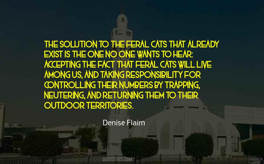 Denise Flaim Quotes #373214