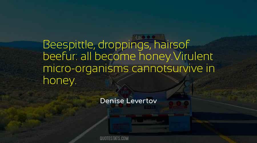 Denise Levertov Quotes #365020