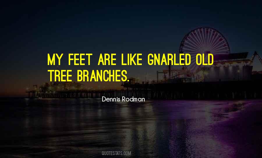 Dennis Rodman Quotes #1289189