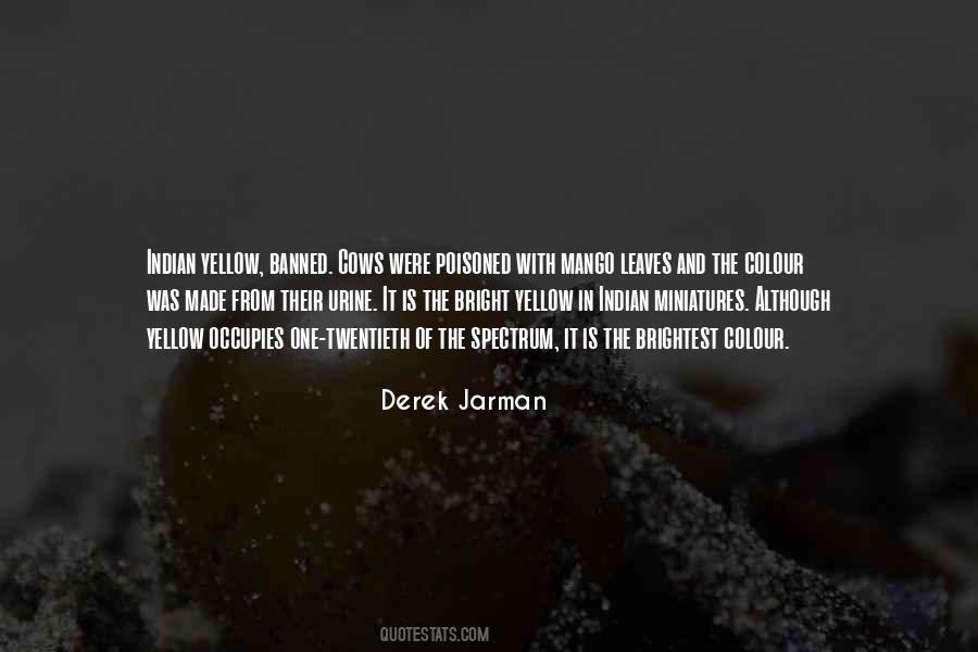 Derek Jarman Quotes #271035