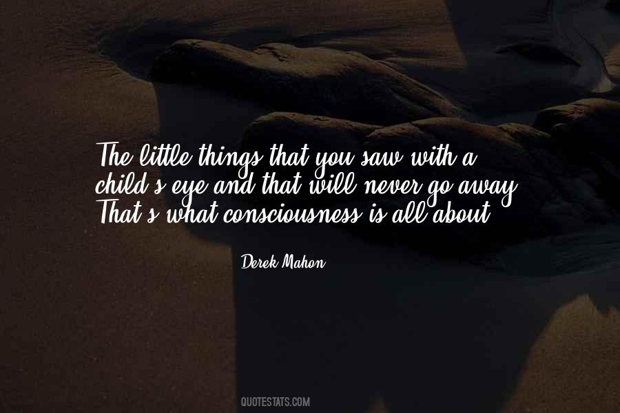 Derek Mahon Quotes #1202491