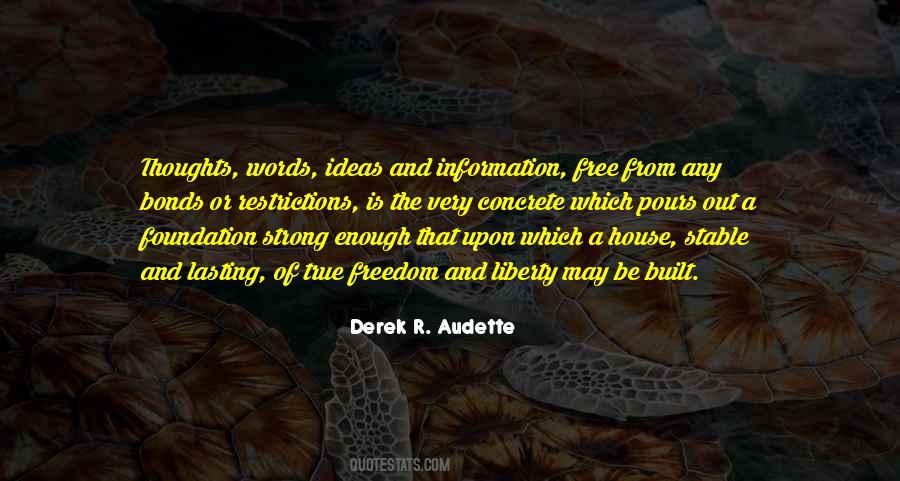 Derek R. Audette Quotes #1257891