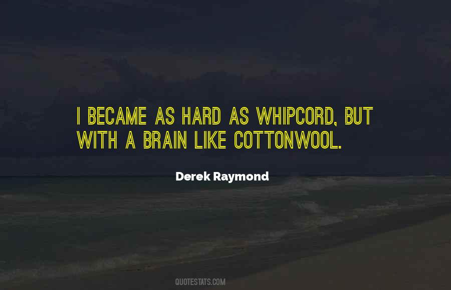 Derek Raymond Quotes #918295