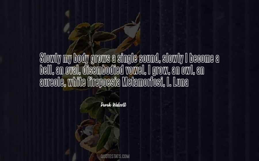 Derek Walcott Quotes #1627327