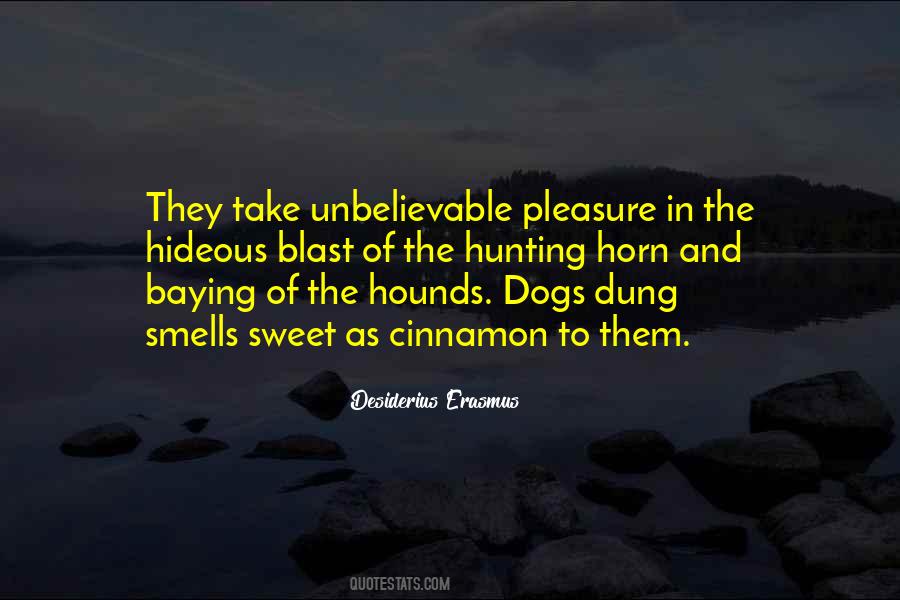 Desiderius Erasmus Quotes #101709