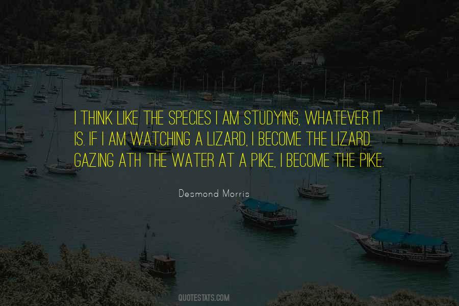 Desmond Morris Quotes #1517900