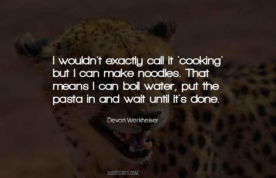 Devon Werkheiser Quotes #851394