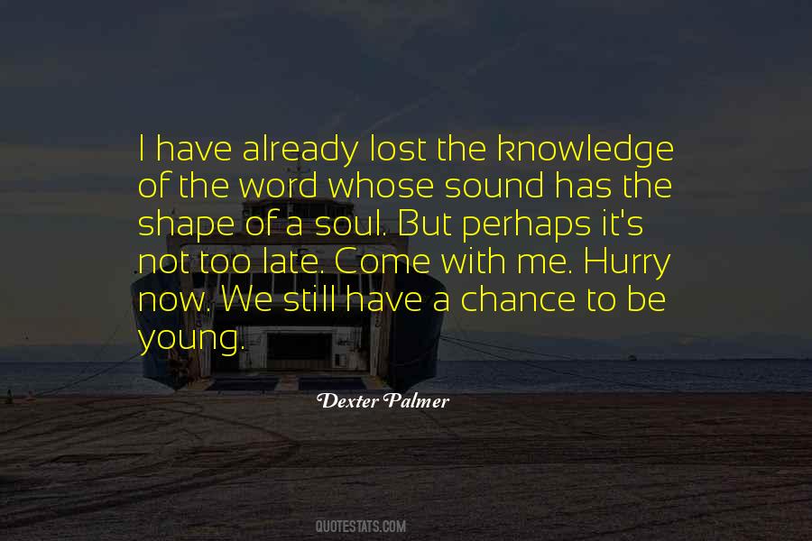 Dexter Palmer Quotes #1149022