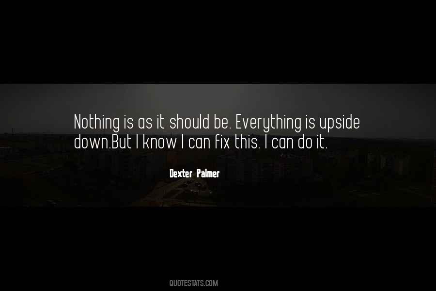 Dexter Palmer Quotes #11973