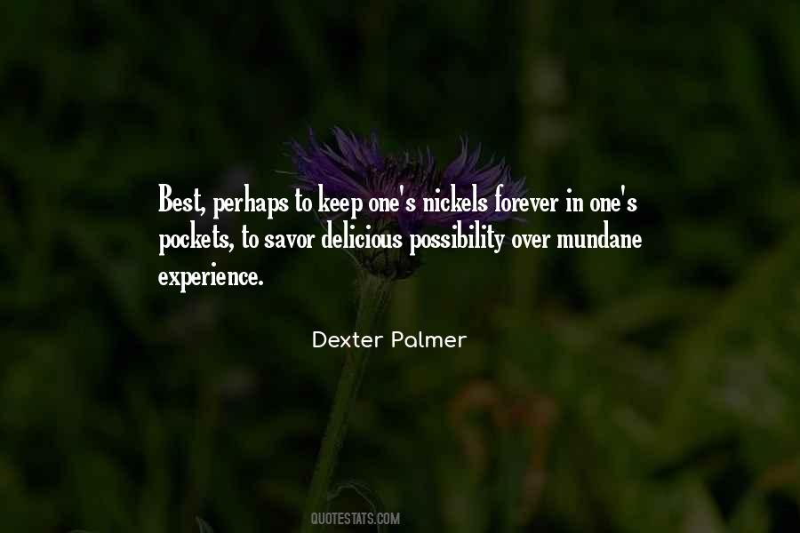 Dexter Palmer Quotes #1511479