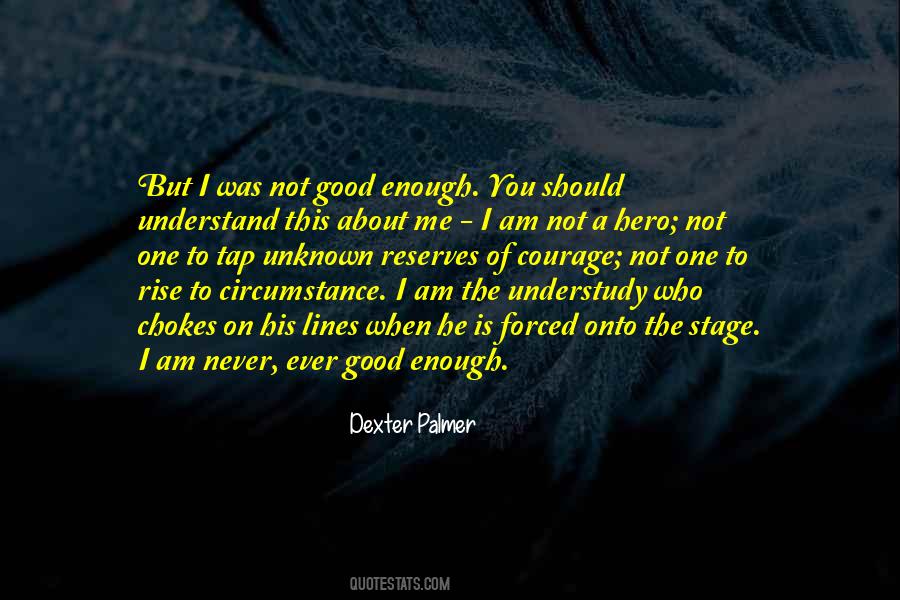 Dexter Palmer Quotes #40286