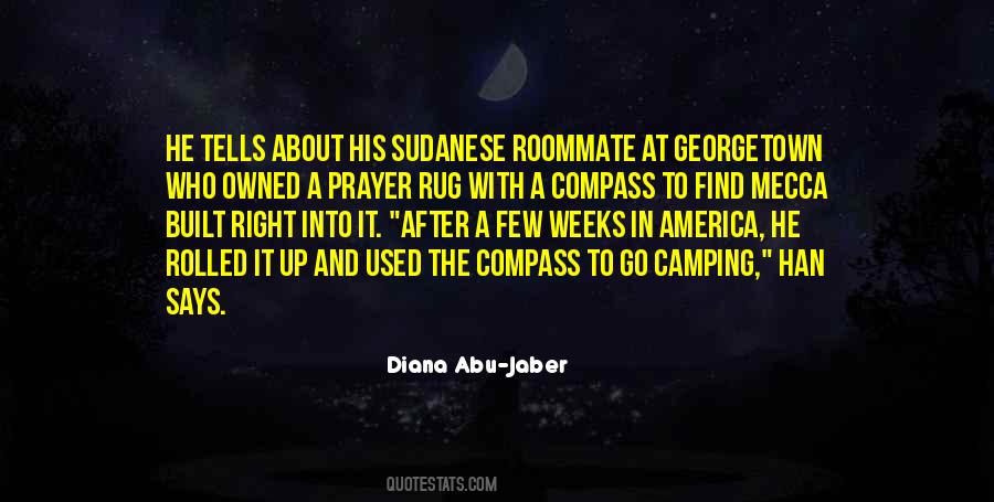 Diana Abu-Jaber Quotes #46734