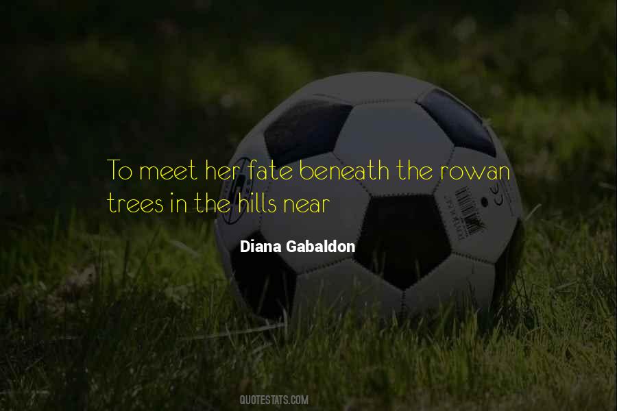 Diana Gabaldon Quotes #1782972