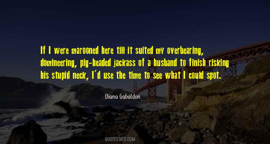 Diana Gabaldon Quotes #838146