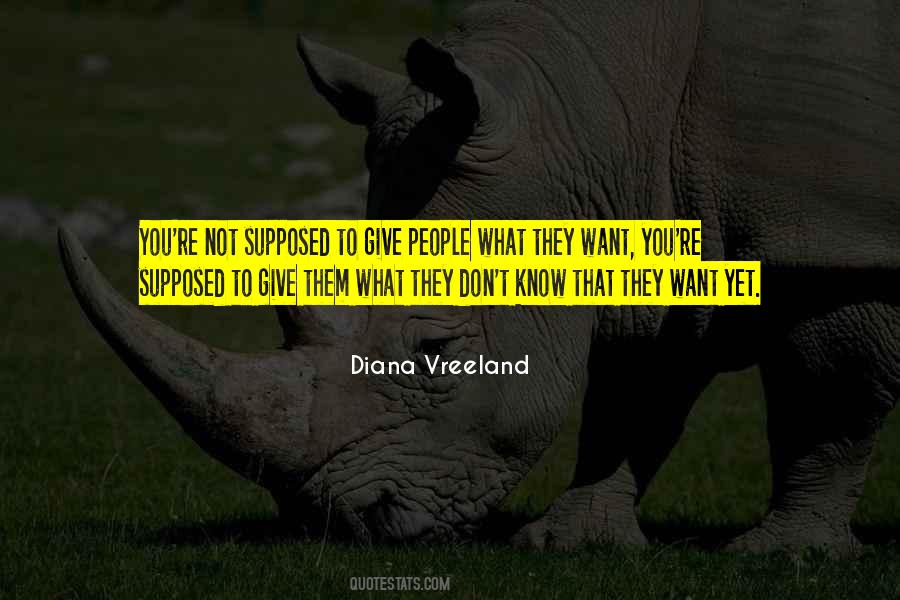 Diana Vreeland Quotes #1179411