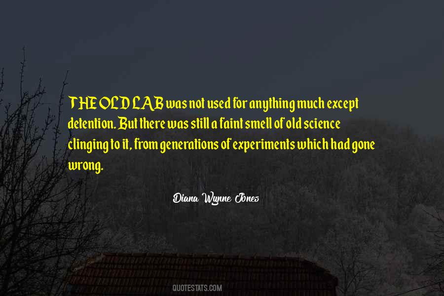 Diana Wynne Jones Quotes #1209282