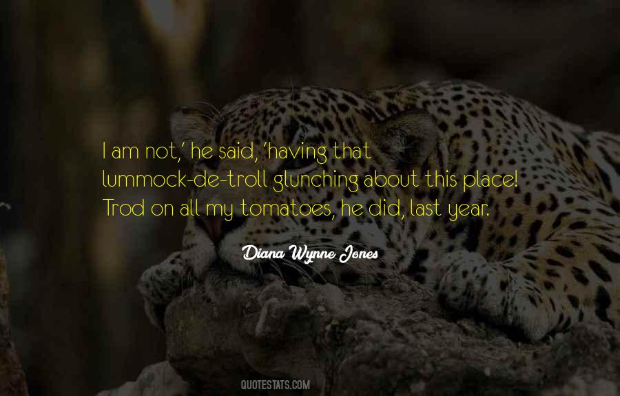 Diana Wynne Jones Quotes #771910