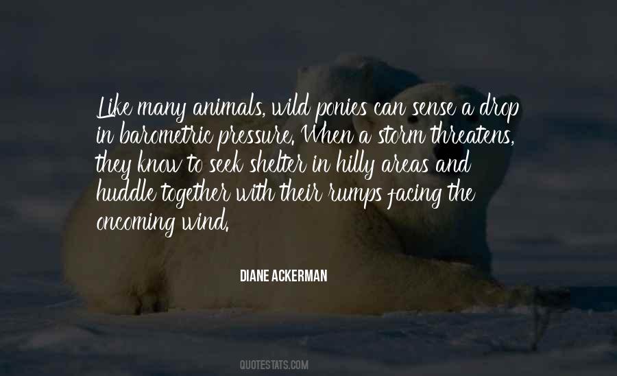 Diane Ackerman Quotes #1273082