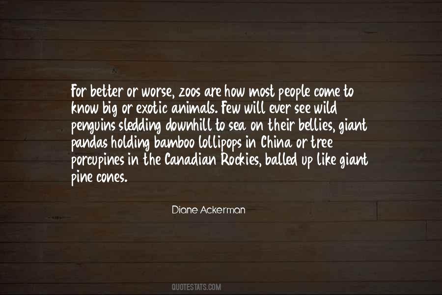 Diane Ackerman Quotes #1851568