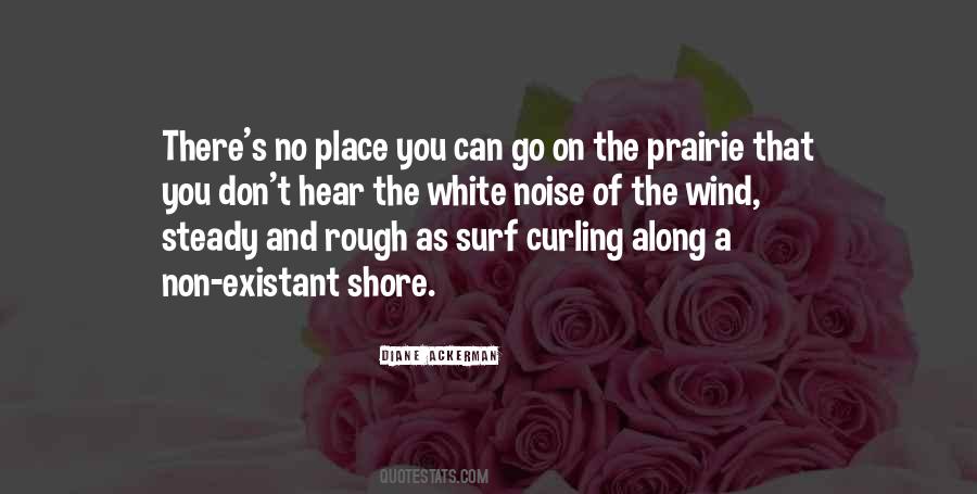 Diane Ackerman Quotes #452920