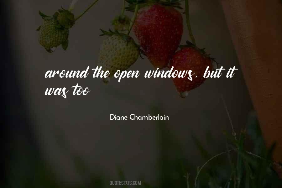 Diane Chamberlain Quotes #854661