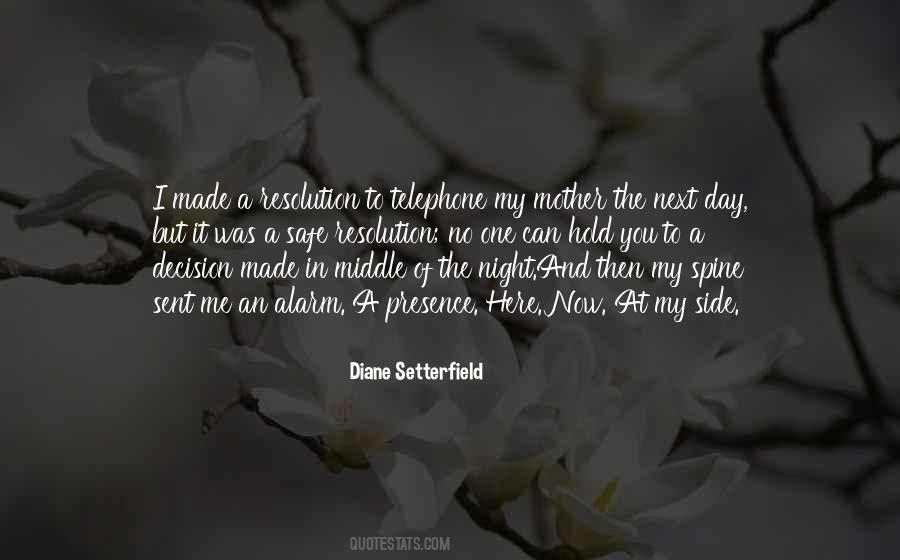 Diane Setterfield Quotes #218010