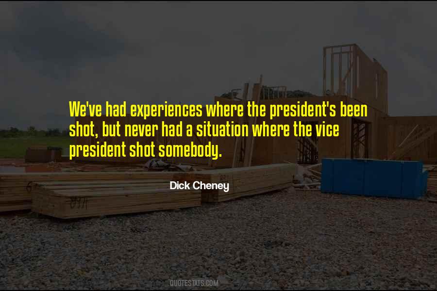 Dick Cheney Quotes #1534523