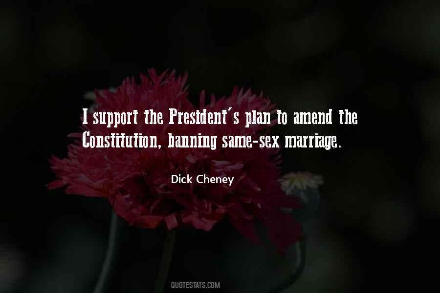 Dick Cheney Quotes #172496