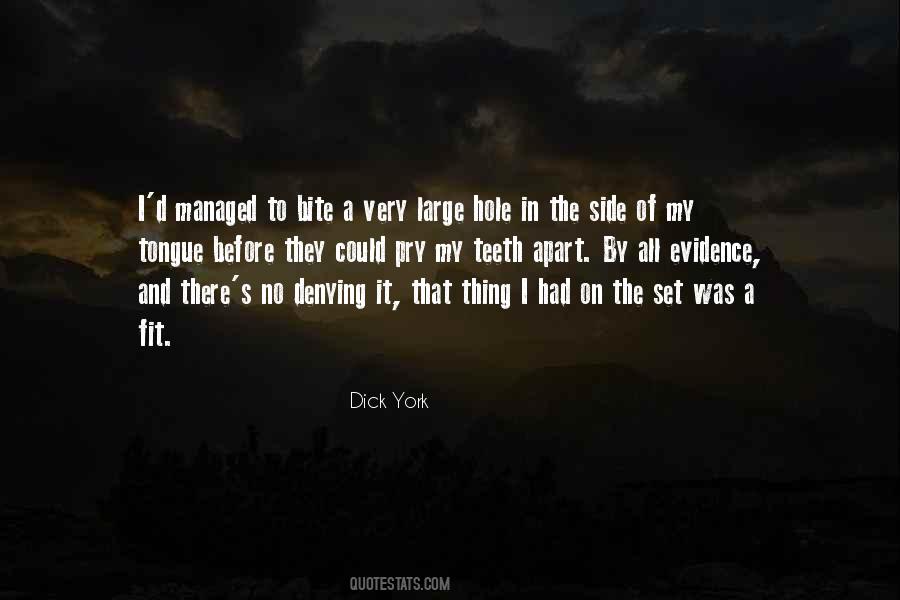 Dick York Quotes #1114683