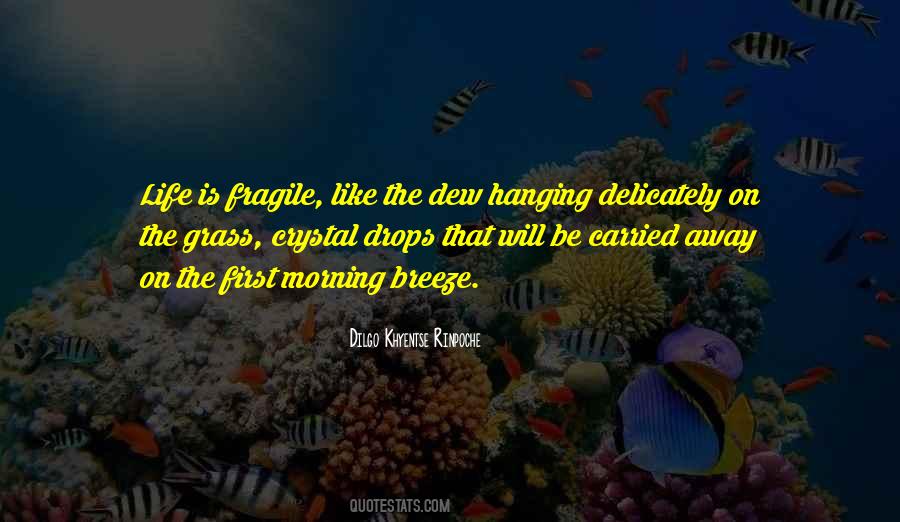 Dilgo Khyentse Rinpoche Quotes #1399881