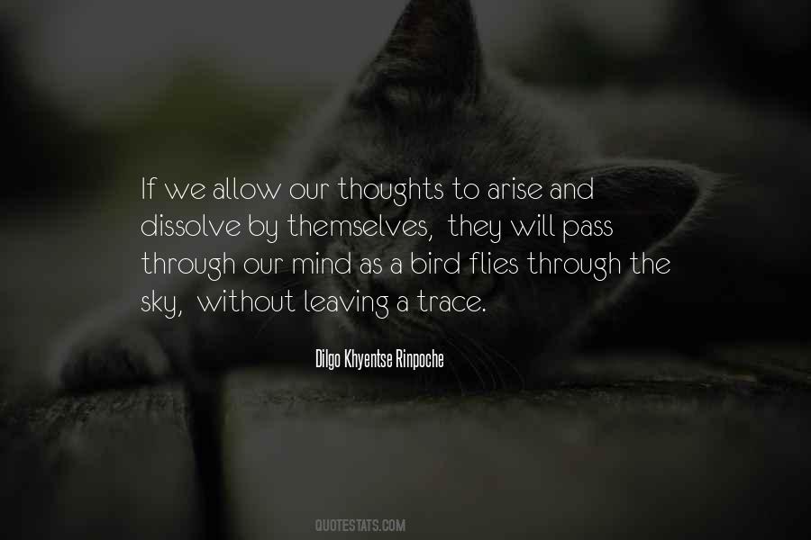 Dilgo Khyentse Rinpoche Quotes #1818700