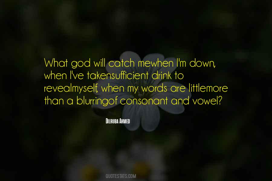 Dilruba Ahmed Quotes #371871 Dilruba Ahmed Quotes #371871