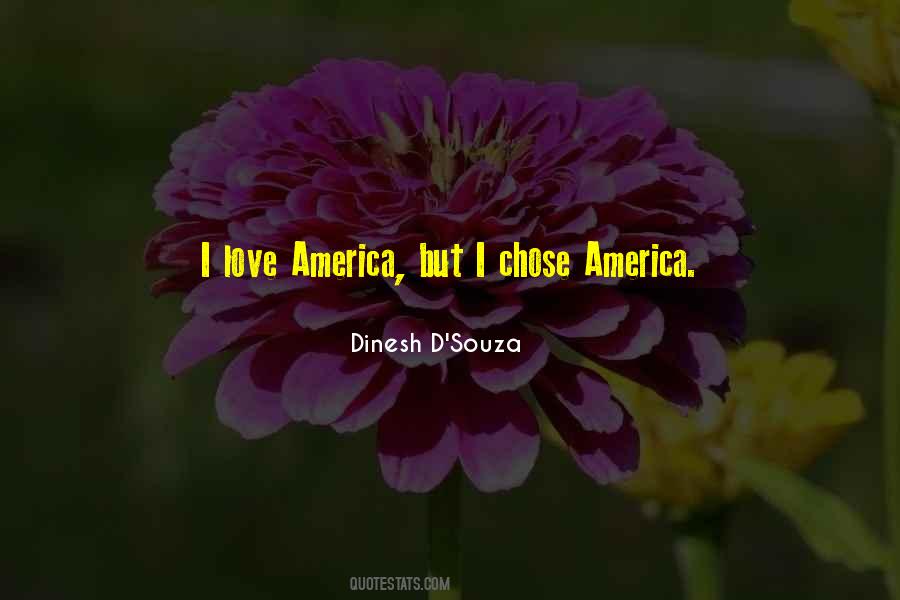 Dinesh D'Souza Quotes #1671013