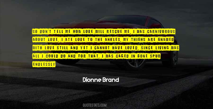 Dionne Brand Quotes #588764