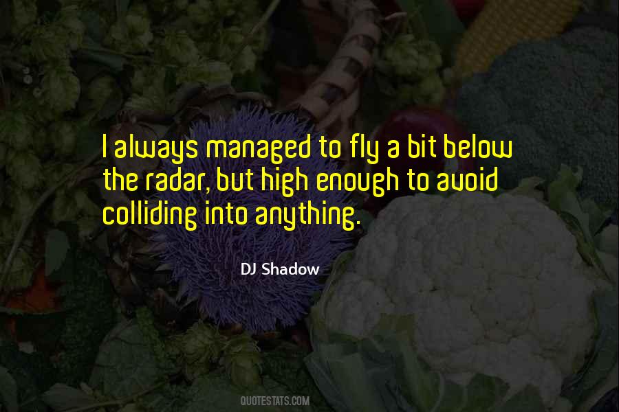 DJ Shadow Quotes #95432