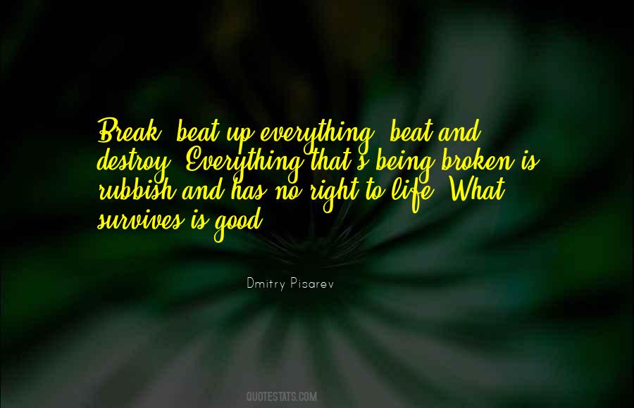Dmitry Pisarev Quotes #1158986