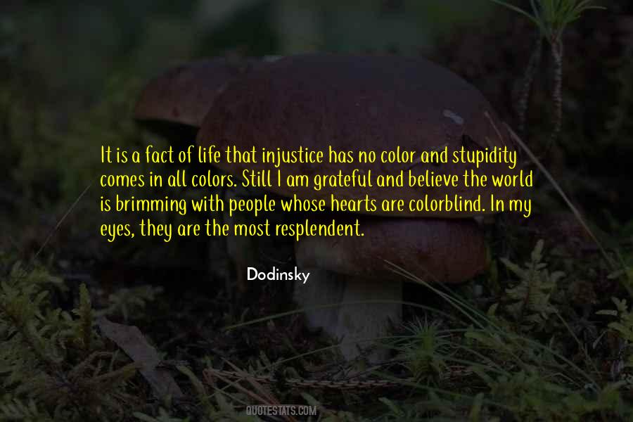 Dodinsky Quotes #1470411