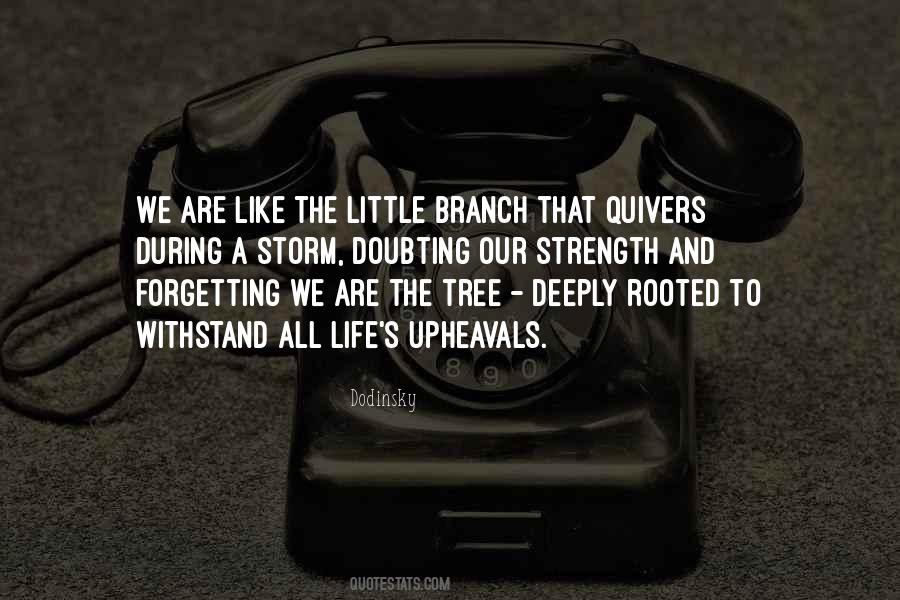 Dodinsky Quotes #867826