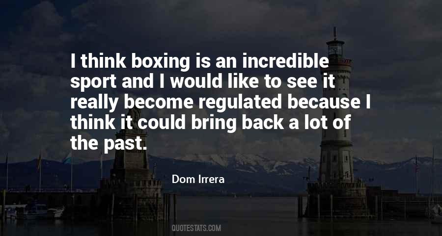 Dom Irrera Quotes #1822381