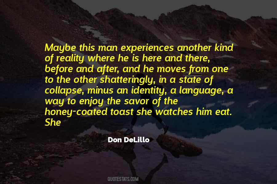 Don DeLillo Quotes #1017386