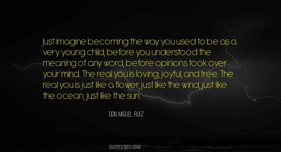 Don Miguel Ruiz Quotes #1601900