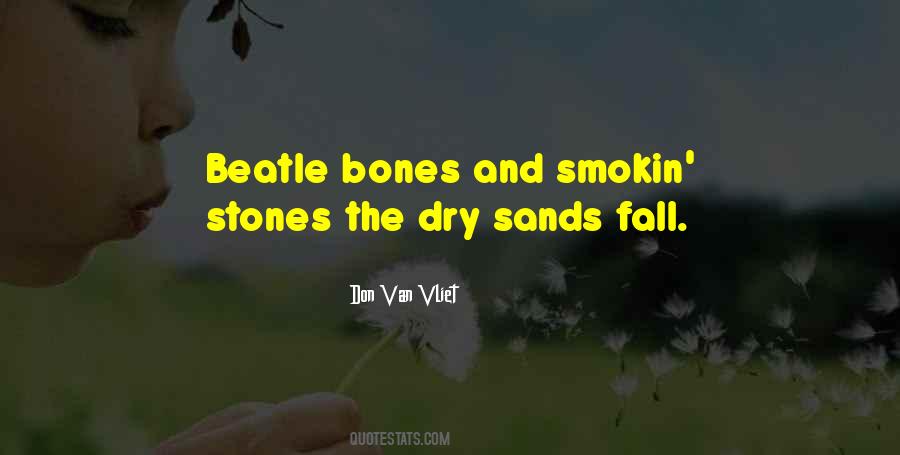 Don Van Vliet Quotes #1713879