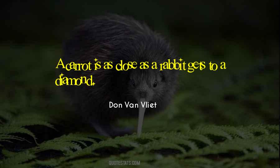 Don Van Vliet Quotes #396565