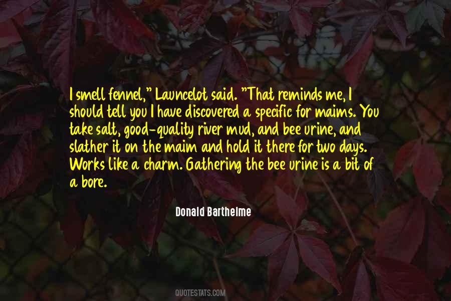 Donald Barthelme Quotes #1725199