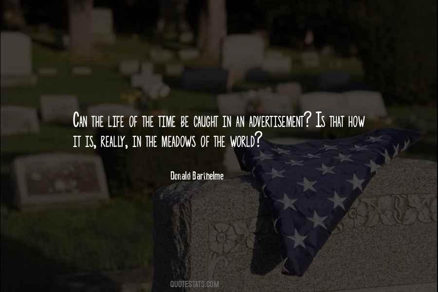 Donald Barthelme Quotes #252224