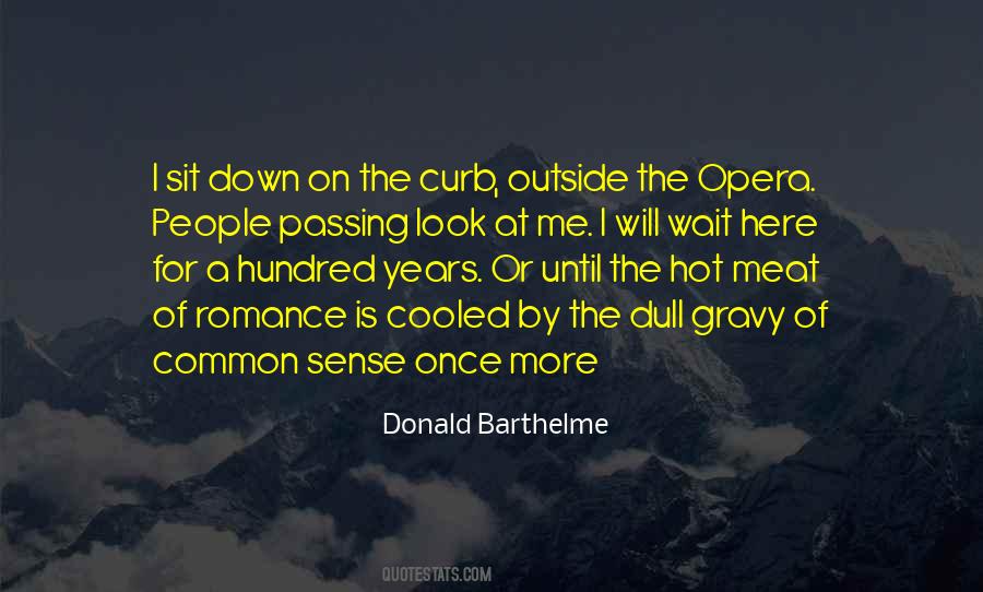 Donald Barthelme Quotes #263779