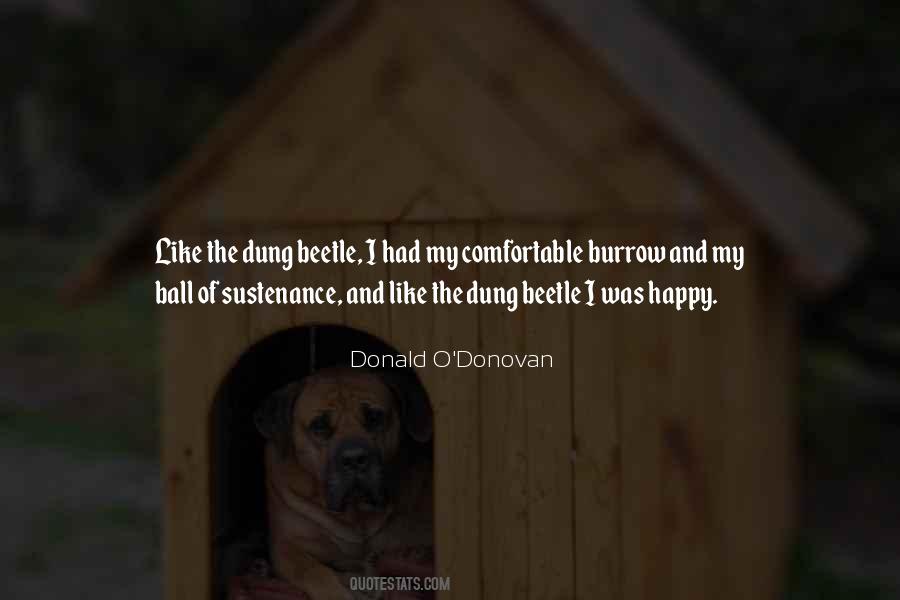 Donald O'Donovan Quotes #153797