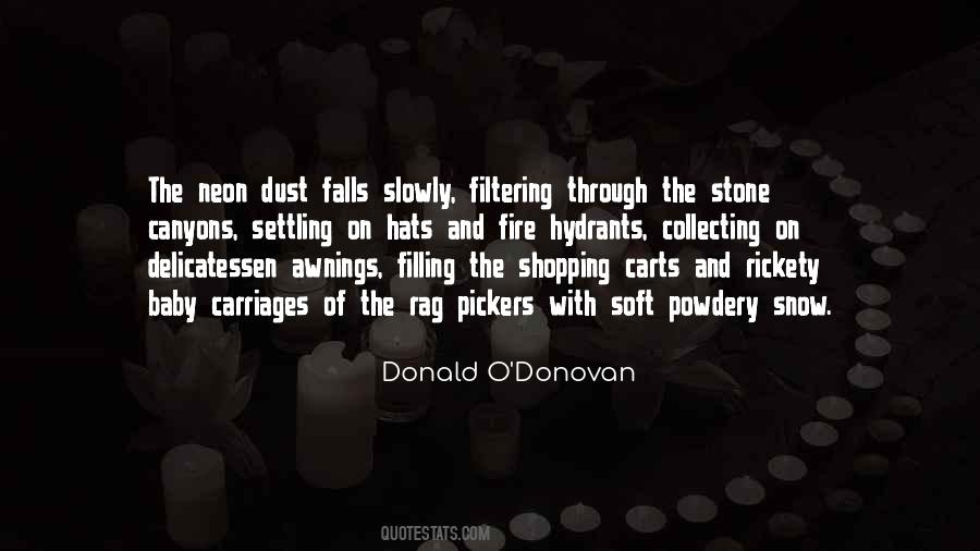 Donald O'Donovan Quotes #174639