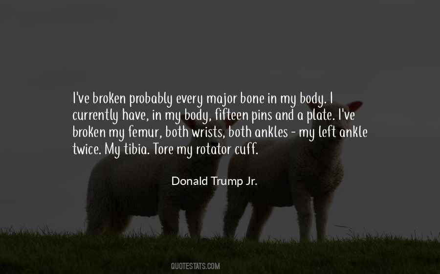 Donald Trump Jr. Quotes #115649