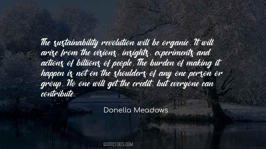 Donella Meadows Quotes #745476